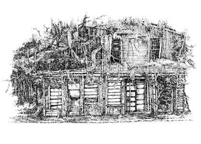 Overgrown House #4