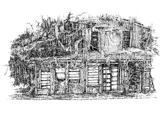 Overgrown House #4