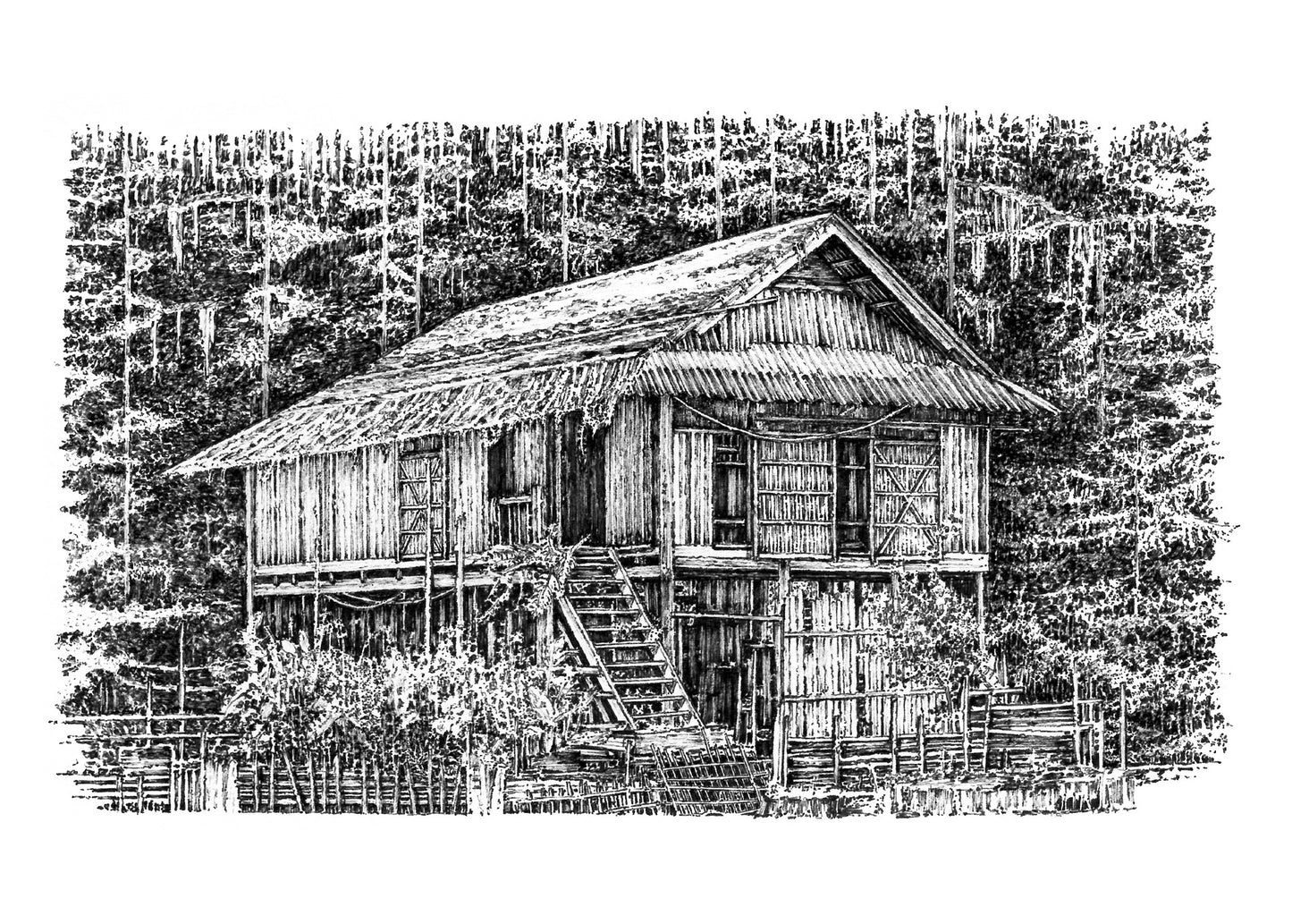 Overgrown House #8