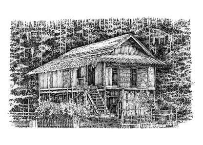 Overgrown House #8