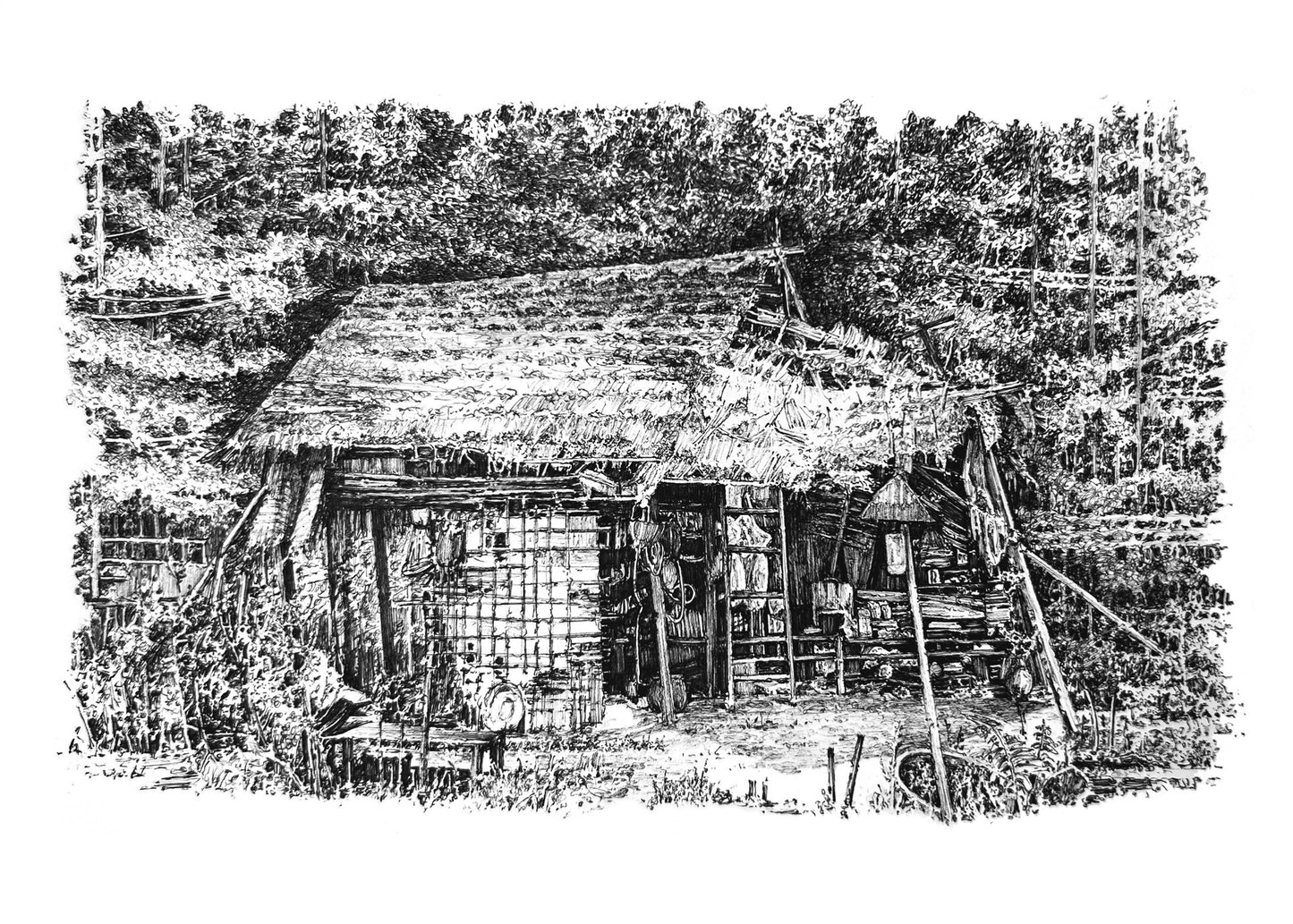 Overgrown House #9
